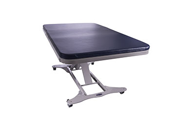 [15-5112B] Tri W-G Treatment Table, Bariatric Motor Hi-Lo 1 section, 42" x 78", 750 lb capacity, 220V