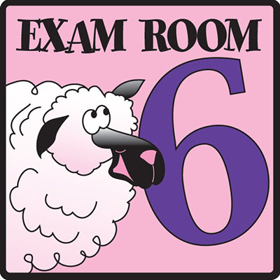 [EX6] Clinton, Exam Room 6 Sign