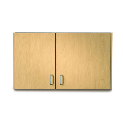 [8242] Clinton, Wall Cabinet, 2 Doors, Wide Right, 42" x 12" x 24"