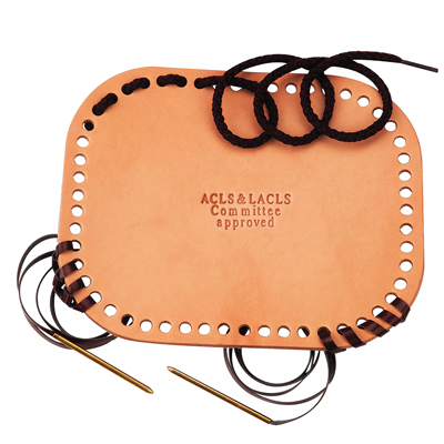 [12-3155] Large Allen Cognitive Level Screen- LACLS
