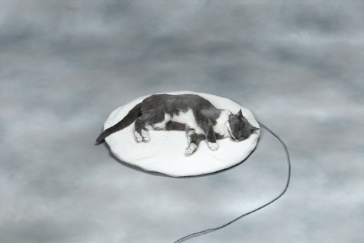 [12PB-R] Round Heated Pet Bed