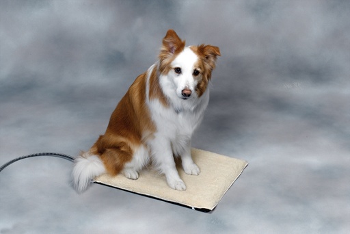 [98P-M] Medium Plastic Heated Pet Mat