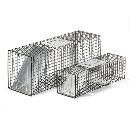 [ELT42] Economy Live Trap