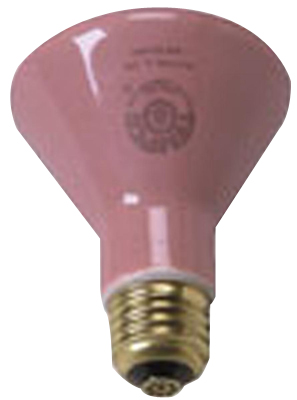 [18-1370] Accessories - (250 watt) Ceramic Bulb - each