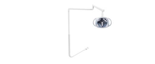 [A0603600] ADS Swing Mount Whale LED Light