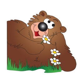 [9729] Friendly Bear Graphic