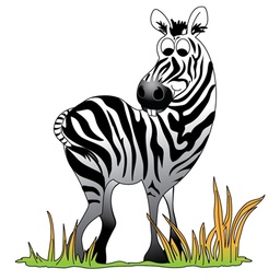 [9721] Zebra Graphic