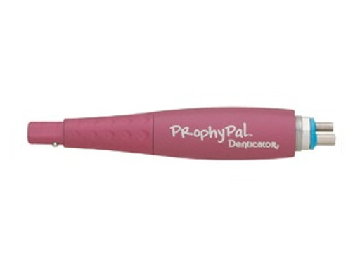 [751001] Young Dental Manufacturing Denticator® ProphyPal® Prophy Pink