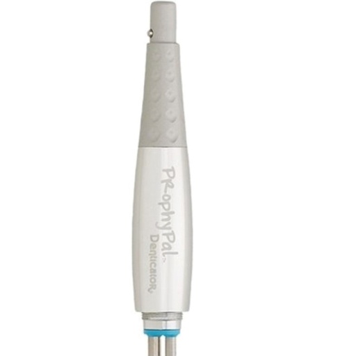 [750001] Young Dental Manufacturing Denticator® ProphyPal® Classic Silver (1ea=cs)