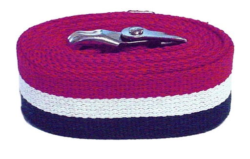 [80307] Kinsman Enterprises, Inc. Gait Belt, Patriot, 2" x 60"