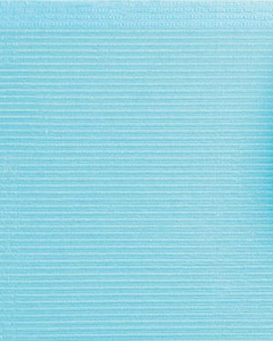 [WUXBL] Crosstex International Towel, 2-Ply Paper, Poly, 19" x 16", Blue