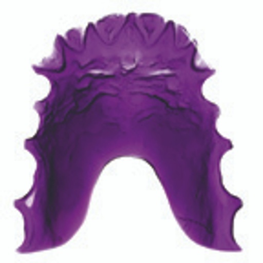 [16242] 2oz Purple Color Monomer Concentrate