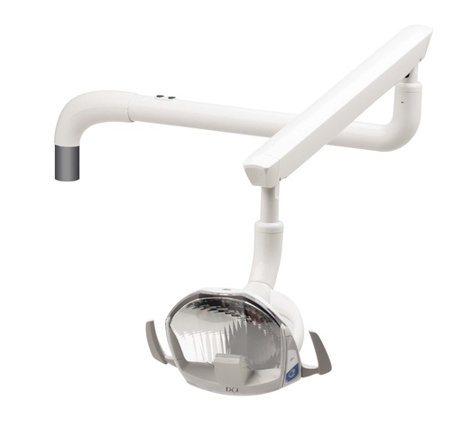 [RP4050] DCI Post Mount Reliance Light, 120 Volt, Gray