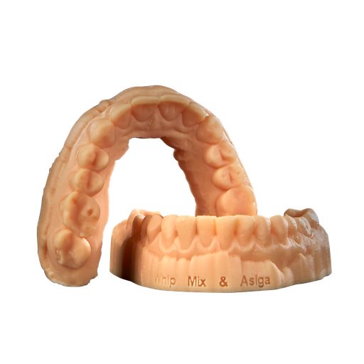 [71172] VeriMODEL OS Golden Brown 1kg
