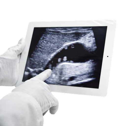 [1-519-1039] Tablet Cover w/Adhesive Seal, 8" x 10", Sterile, 24/bx