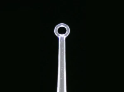 [3410] ClearLook AngleLoop Refill Pack, 50 curettes/bx (Rx) 
