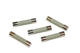 [8824] Fuse, Time Delay, Glass, 1 Amp, 250 Volt; Pkg of 5