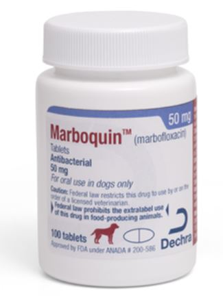 [MWI 111294] Marboquin (Marbofloxacin) Antibacterial Tablets for Dogs and Cats 50mg, 100 Count