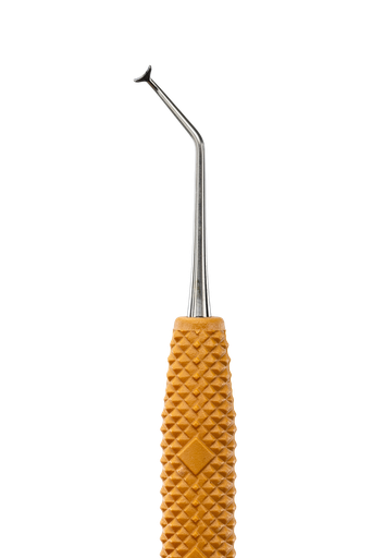 [R631] Pineyro Arch™ Ti 2