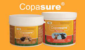 Copasure