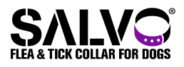 Salvo